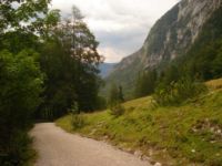 2014-08-02_06FritzPflaum-Steig (432).JPG